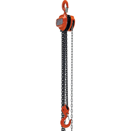 Manual Chain Hoist 4K Capacity 10 Ft - Exact Tool & Supply