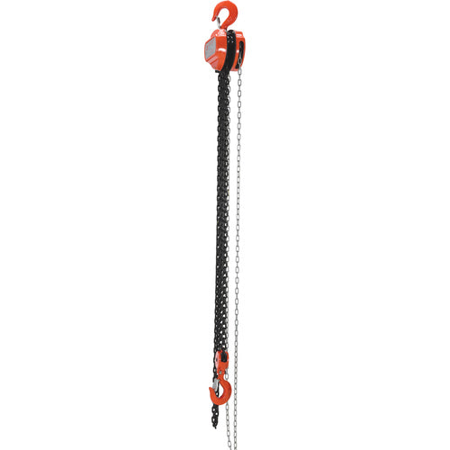 Manual Chain Hoist 6K Capacity 10 Ft - Exact Tool & Supply