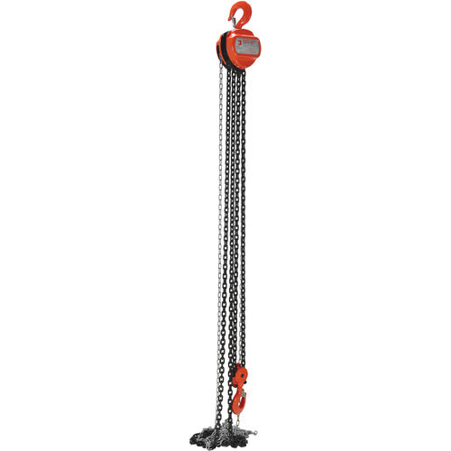 Manual Chain Hoist 6K Capacity 15 Ft - Exact Tool & Supply