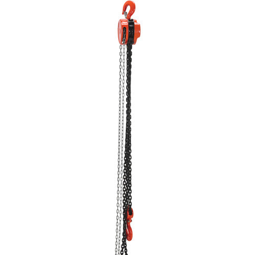 Manual Chain Hoist 6K Capacity 20 Ft - Exact Tool & Supply