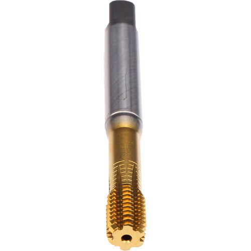 ‎3/8-16 RL TAP MOD BTM TIN - Exact Tool & Supply
