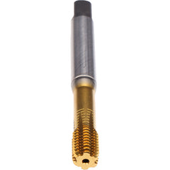 ‎3/8-16 RL TAP MOD BTM TIN - Exact Tool & Supply