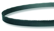 11'6" X 1-1/4 .042 8/12T M42 - Exact Tool & Supply