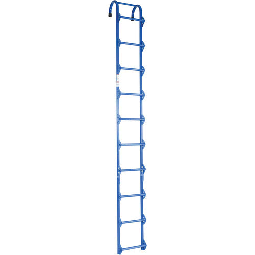 Tank Access Ladder 10 Ft Height - Exact Tool & Supply