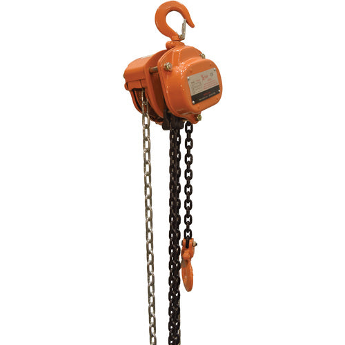 Professional Chain Hoist 1K 15 Ft - Exact Tool & Supply