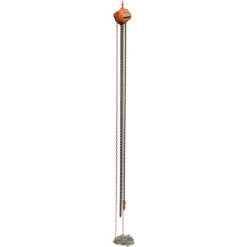 Professional Chain Hoist 1K 20 Ft - Exact Tool & Supply