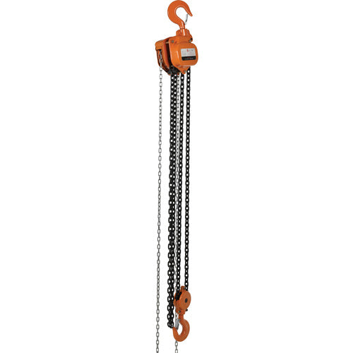 Professional Chain Hoist 10K 10 Ft - Exact Tool & Supply