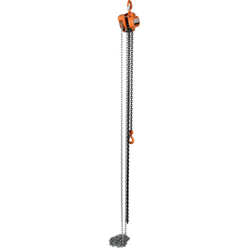 Professional Chain Hoist 2K 15 Ft - Exact Tool & Supply