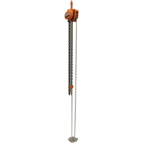 Professional Chain Hoist 3K 10 Ft - Exact Tool & Supply