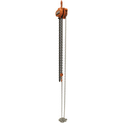 Professional Chain Hoist 3K 10 Ft - Exact Tool & Supply