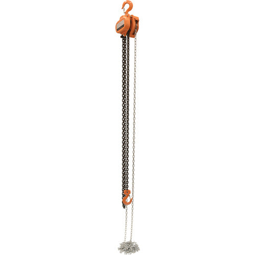 Professional Chain Hoist 3K 15 Ft - Exact Tool & Supply