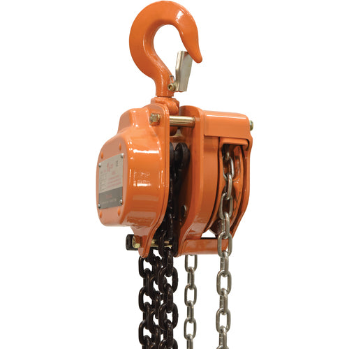 Professional Chain Hoist 3K 20 Ft - Exact Tool & Supply