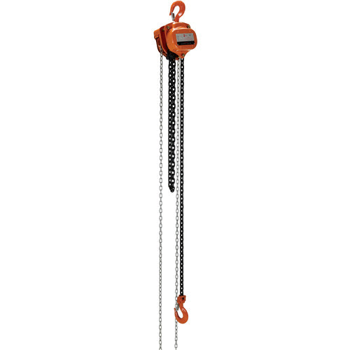 Professional Chain Hoist 4K 10 Ft - Exact Tool & Supply