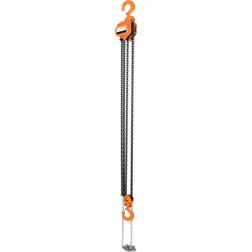 Professional Chain Hoist 6K 10 Ft - Exact Tool & Supply