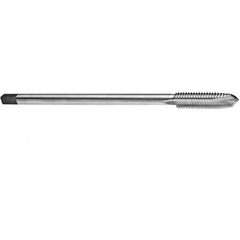 ‎8-32 2FL H-3 6″O/A SPPT PLUG PULLEY TAPS 112SP - Exact Tool & Supply