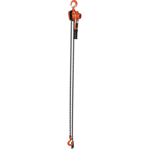 Professional Lever Hoist 10 Ft Lift 2K - Exact Tool & Supply