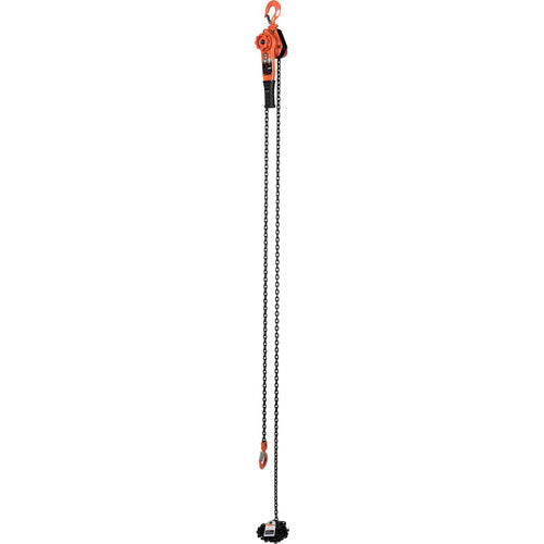 Professional Lever Hoist 20 Ft Lift 2K - Exact Tool & Supply
