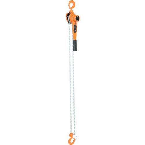 Professional Lever Hoist 10 Ft Lift 3K - Exact Tool & Supply