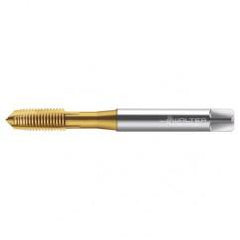 TC216-M8X1.25 6H WY80AA HS SPPT TAP - Exact Tool & Supply