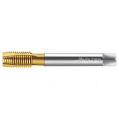 TC216-M12X1.75 6H WY80AA HS SPPT TAP - Exact Tool & Supply