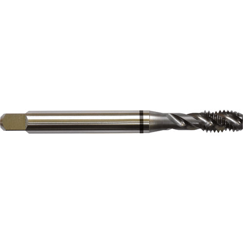 ‎1/4-28 H4 3 Flute Spiral Flute Semi-Bottoming Black Ring Tap-TICN - Exact Tool & Supply