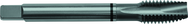 1-12 H6 3 Flute Spiral Pointed Plug Black Ring Tap-Steam Oxide - Exact Tool & Supply