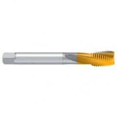 1–1/8–7 UNC–2BX REK.2D-Z-BF TiN Sprial Flute Tap - Exact Tool & Supply
