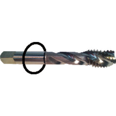 ‎10-32 Dia-H3-3 FL-Std Spiral FL Tap - Black Ring - Exact Tool & Supply