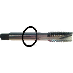 ‎1/4-20 Dia-H5-3 FL-Std Spiral Point Tap - Black Ring - Exact Tool & Supply