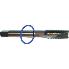 ‎1/4-20 Dia-H3-3 FL-Std Spiral FL Tap - Blue Ring - Exact Tool & Supply