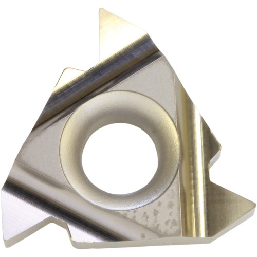 16 IR6001 TC60 INSERT ALT MFG #16IR6001TC60 - Exact Tool & Supply