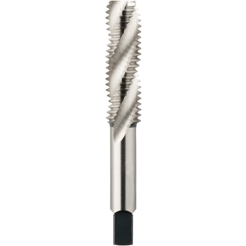M12 Metric 3-Flute, D6 Bottom Series/List # 2039 Spiral Flute Tap - Exact Tool & Supply