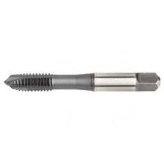 VTSPO5617 M4X0 7 D4 3FL SP PLUGHSS- - Exact Tool & Supply