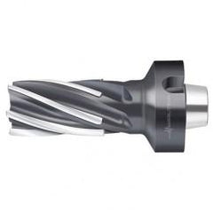 F1682.N8.063.Z06.100.P - Exact Tool & Supply