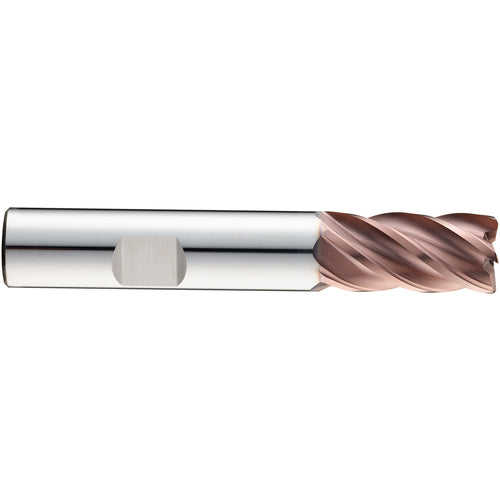 ‎1/4 End Mill 5FL SQ TA - Z-CARB HPR 1/4x1/4x3/8x2-1/2 - Exact Tool & Supply