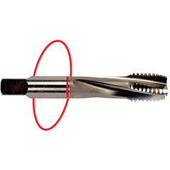‎6-32 Dia-H3-3 FL-Std Spiral FL Tap - Red Ring - Exact Tool & Supply